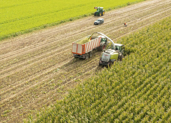 maissilage Banner Artikel silage maissilage Banner Artikel silage